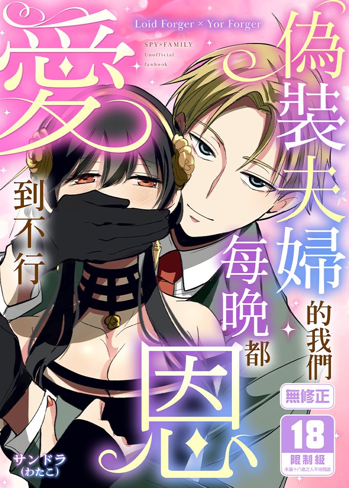 偽裝夫婦的我們每晚都恩愛到不行 R18漫畫 同人誌