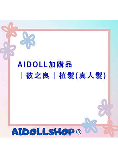 AIDOLL加購品｜彼之良｜植髮(真人髮)