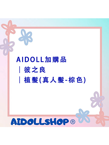 AIDOLL加購品｜彼之良｜植髮(真人髮-棕色)
